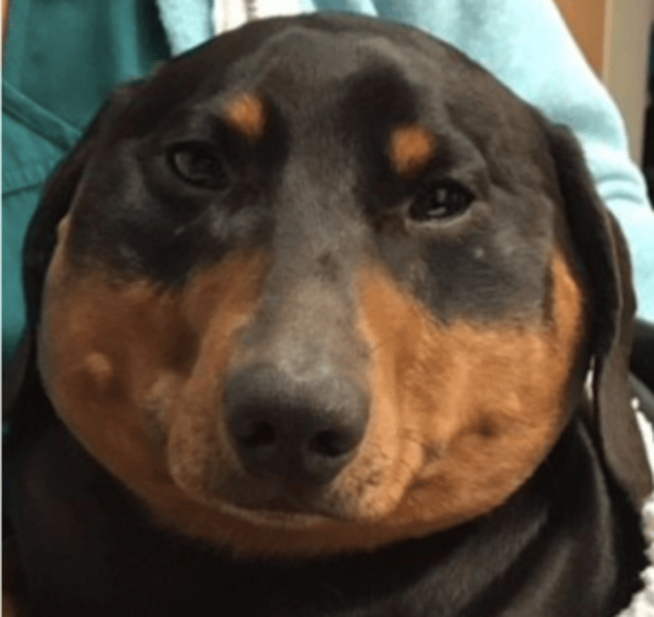 <p>what is this problem called?</p>