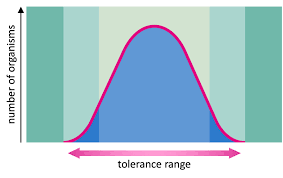 <p>The range of environmental conditions within which a species can survive and reproduce. Beyond this range, organisms may experience stress and reduced fitness. </p>