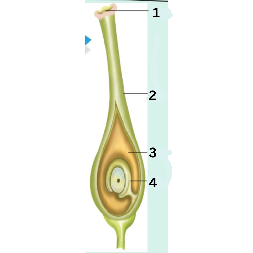 <p>What part is no. 4?</p>