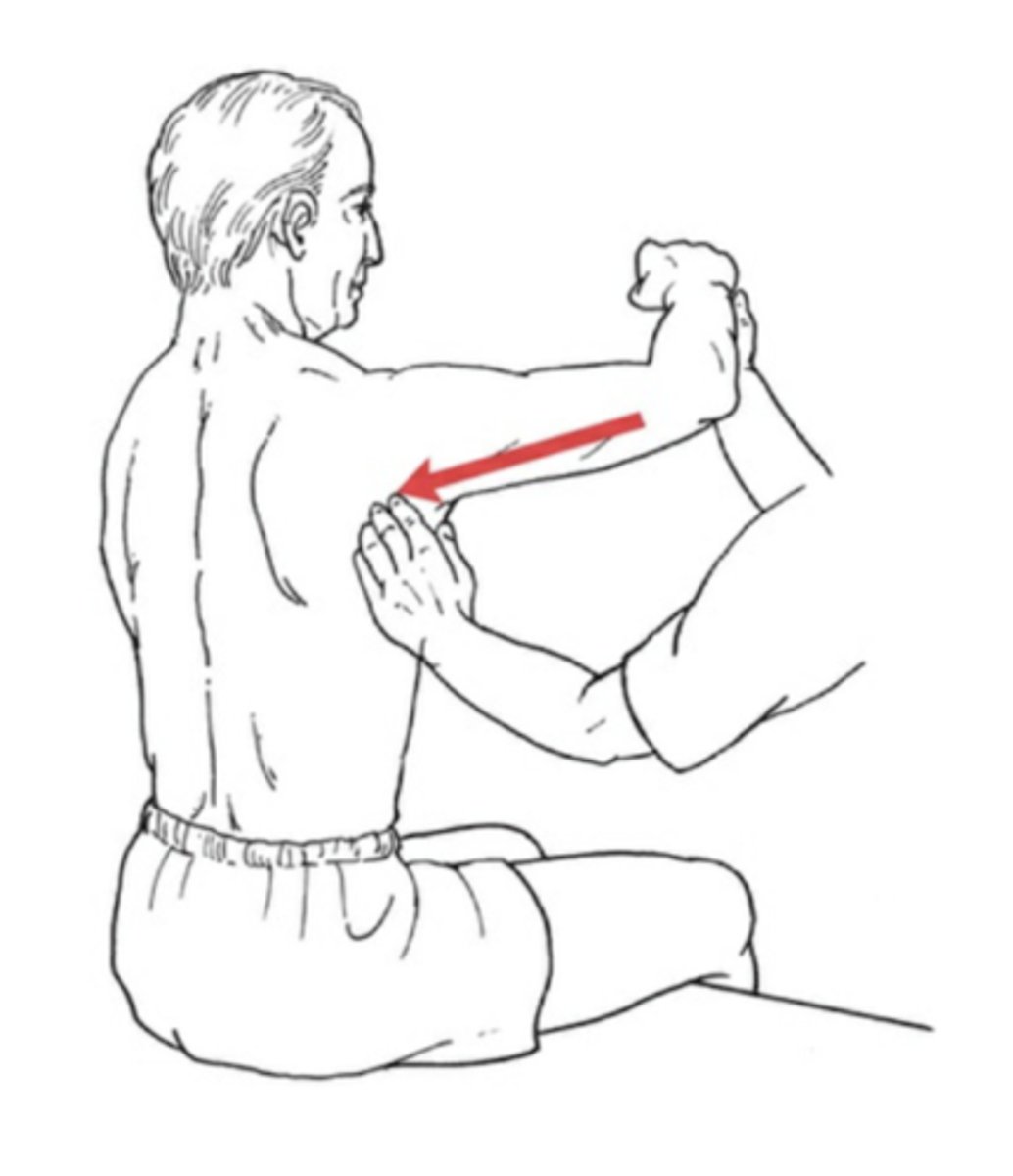 <p>Short sitting, shoulder ABD to 90, then horizontal ABD. Full ROM in gravity minimized</p>