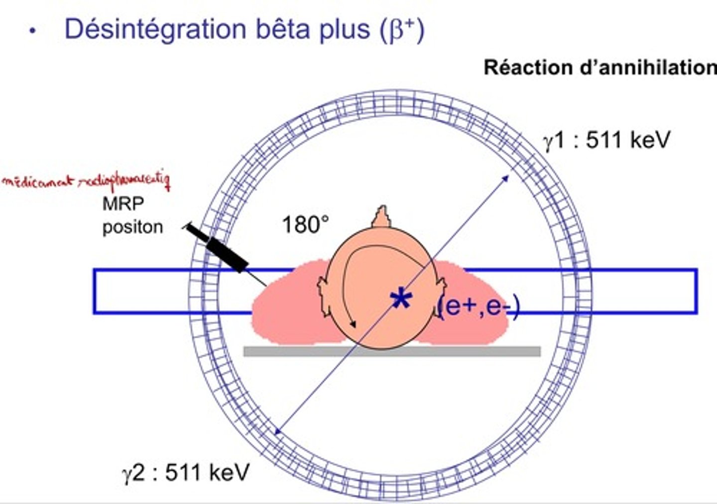 <p>1) Injection d'un traceur radioactif dans le flux sanguin</p><p>2) Le traceur se désintègre et émet une position</p><p>3) La position entre en collision avec les électrons, ça produit des rayons gamma</p><p>- Détecte les changements de radioactivité dans le cerveau, mais ces changements sont faibles --&gt; design expérimental à plusieurs conditions comparées</p><p>- Comparaison avec d'autres participants</p><p>- Besoin de répéter l'expérience</p><p>Inconvénients :</p><p>- Habituation</p><p>- Chronophage</p>