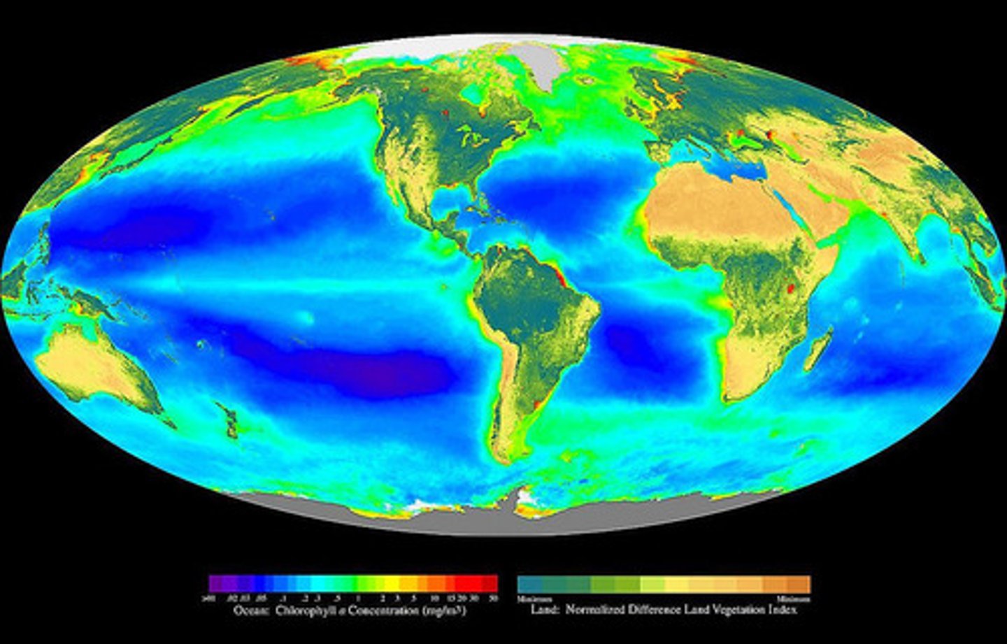 <p>The zone of life on Earth; sum total of all ecosystems on Earth.</p>