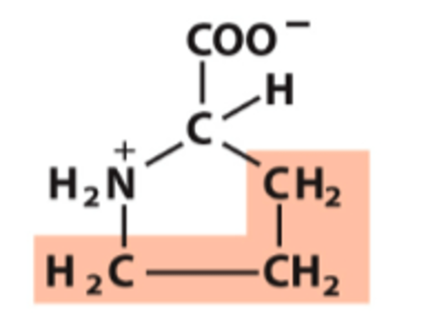 <p>What amino acid is this?</p>