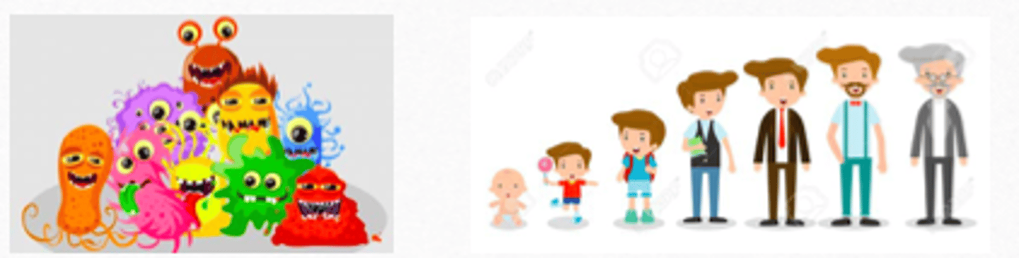 <p>- microorganism</p><p>- age group</p>