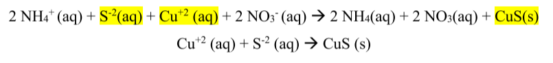 <p>A balanced equation that includes only ions and molecules directly involved in the reaction</p>