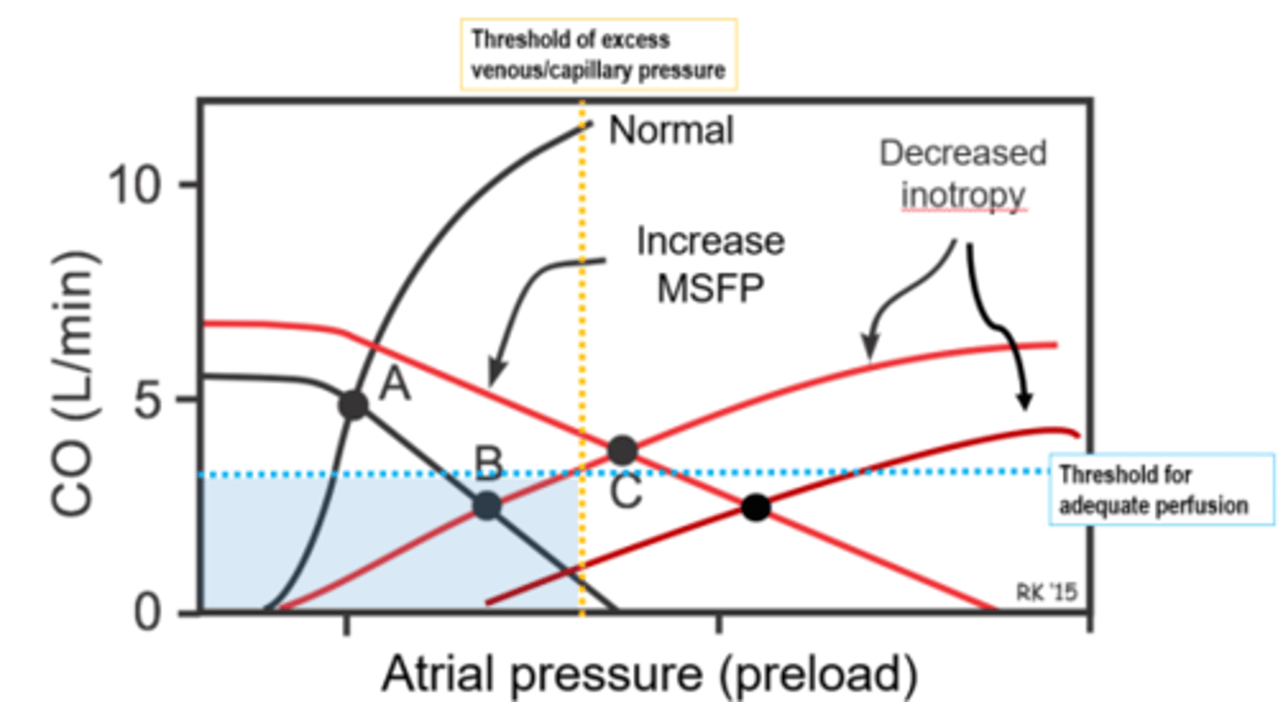 <p>-acute drop in caridac output (cold paws &amp; ears) without congestion</p><p>-forward failure only</p>