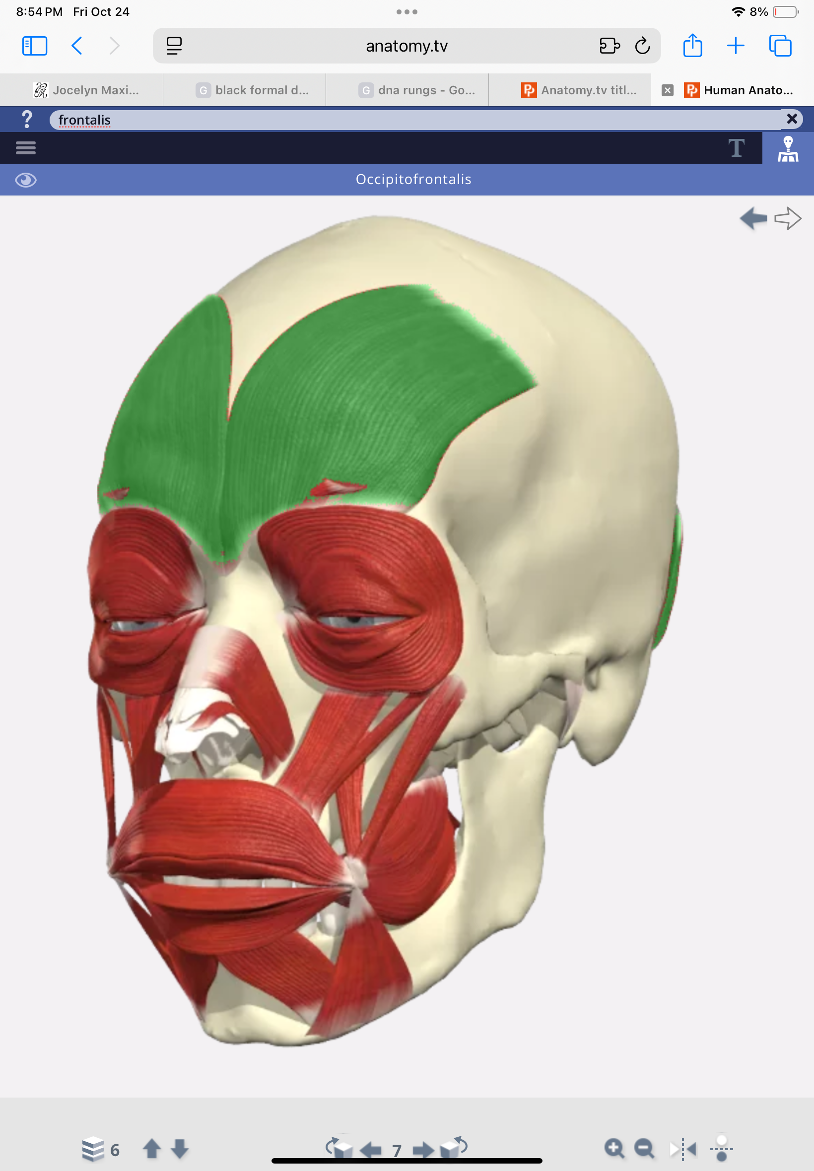 knowt flashcard image