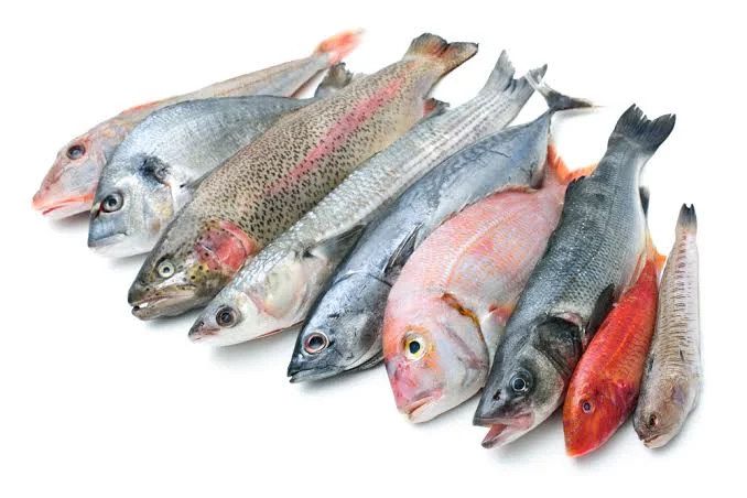 <p>Fisch</p>