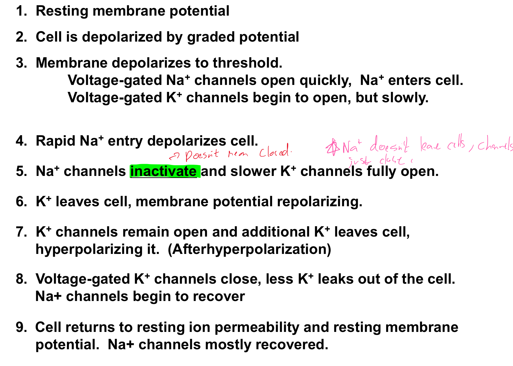 knowt flashcard image