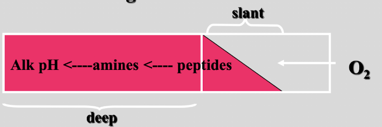 <p>this test shows&nbsp;</p>