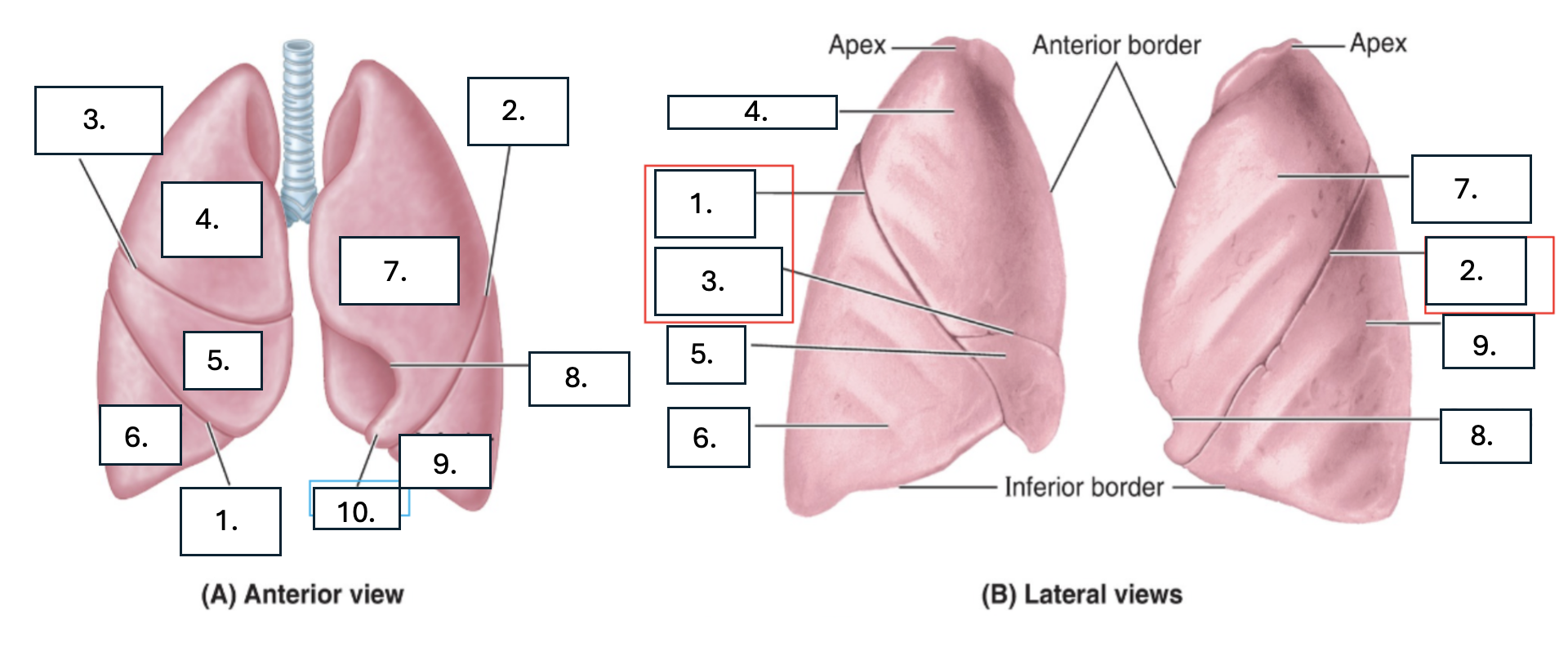 <p>What is number 3?</p>