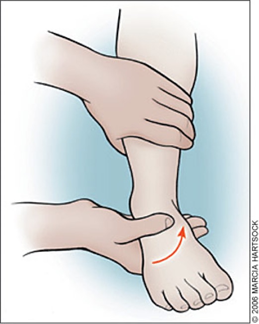 <ul><li><p>grasp calcaneus and stabilize lower leg → provide inversion or eversion stress rolling calcaneus inward or outward while ankle is in neutral</p></li><li><p>inversion = LCL injury </p></li><li><p>eversion = medial aspect of ankle (deltoid ligament)</p></li></ul><p></p>