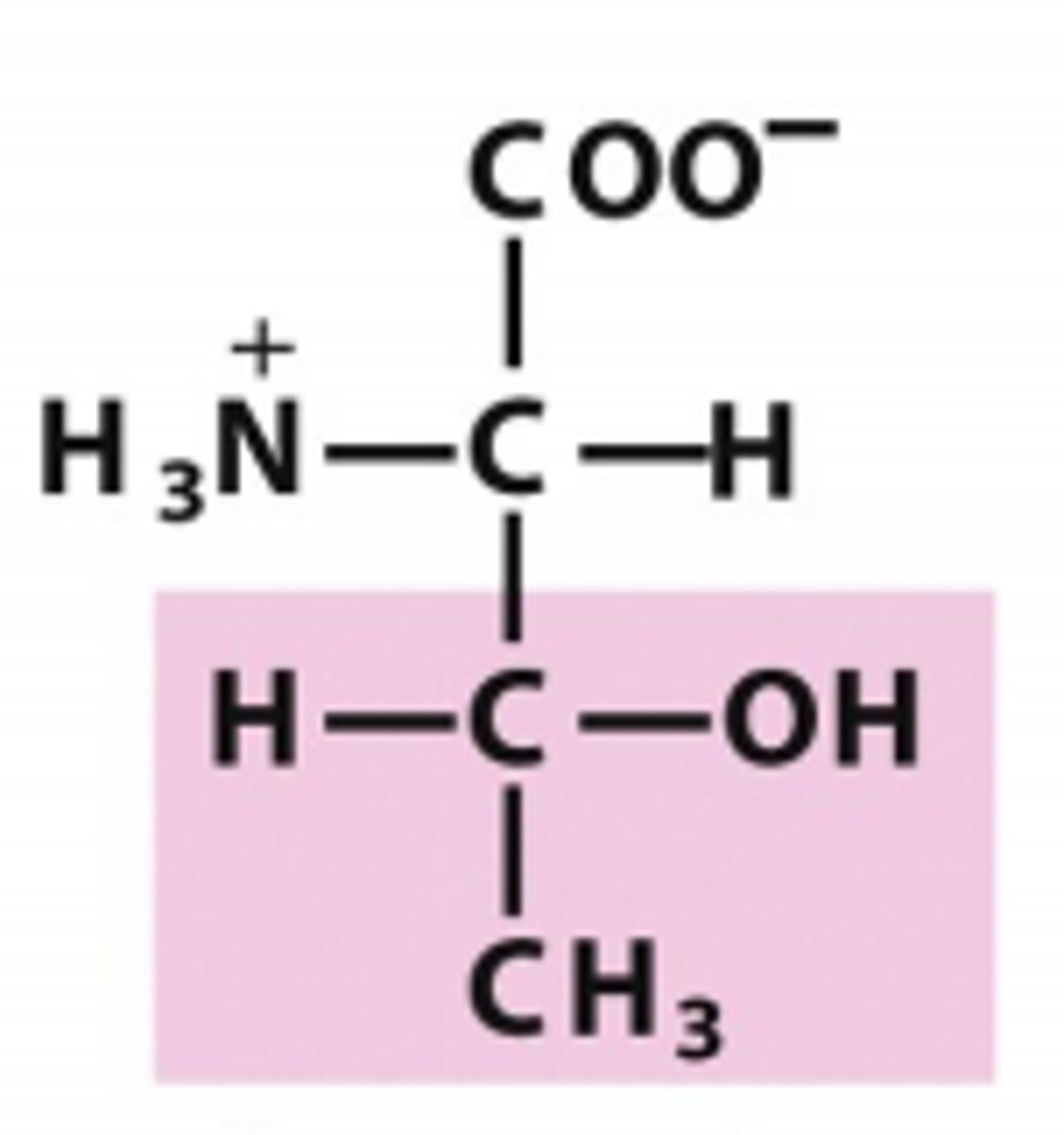 <p>Which amino acid is this?</p>