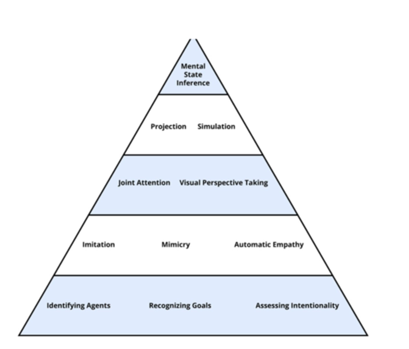 <p>bottom to top: simple to complex</p><p>1st row:</p><p>- identifying agetns</p><p>- recognizing goals</p><p>- assessing intentionality</p><p>2nd row</p><p>- imitation</p><p>- mimicry</p><p>- automatic empathy</p><p>3rd row</p><p>- joint attention</p><p>- visual perspective taking</p><p>4th row:</p><p>- projection</p><p>- simulation</p><p>TOP:</p><p>- Mental state inference</p>