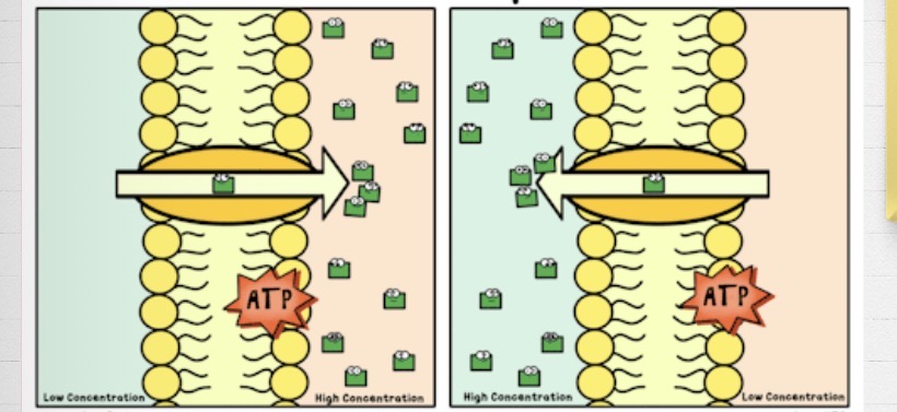 <p>What is this?</p>