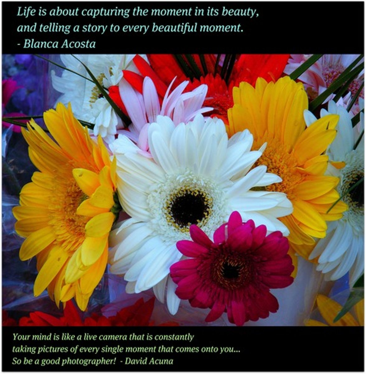<p>you all</p>