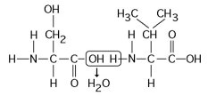 <p><span>Which of the following statements is/are </span><em>true</em><span> regarding the chemical reaction illustrated in the figure above?</span></p>