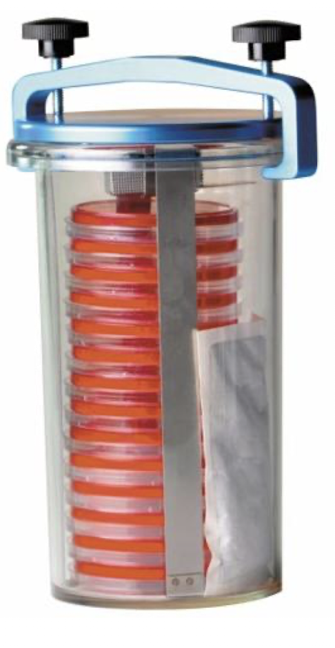 <p>- A sample is added to the chamber. </p><p>- A packet of oxygen-reacting chemicals is opened inside it, creating oxygen-free conditions. </p>