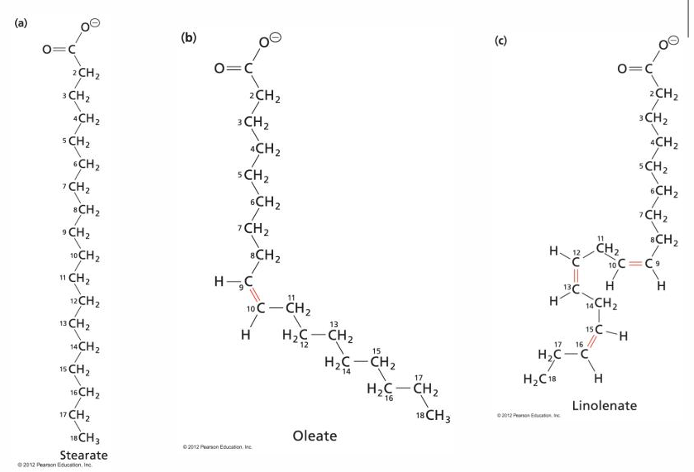 <p>What are the shorthand notations for these?</p>