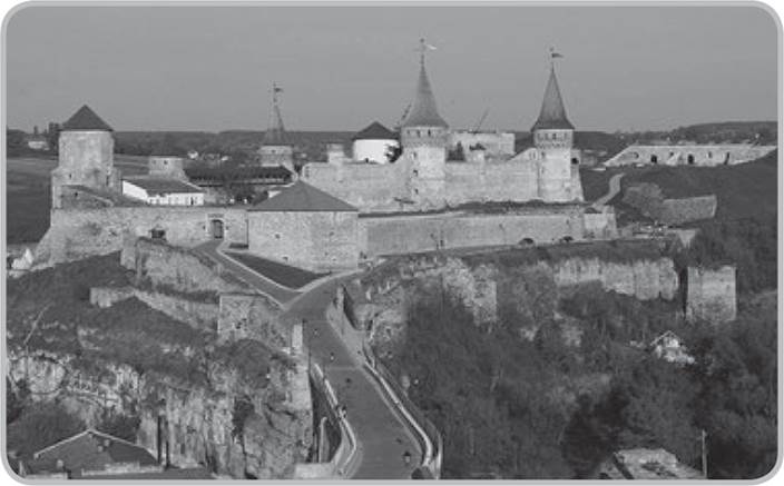 term image
