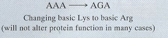 <p>What protein level mutation is this image an example of?</p>