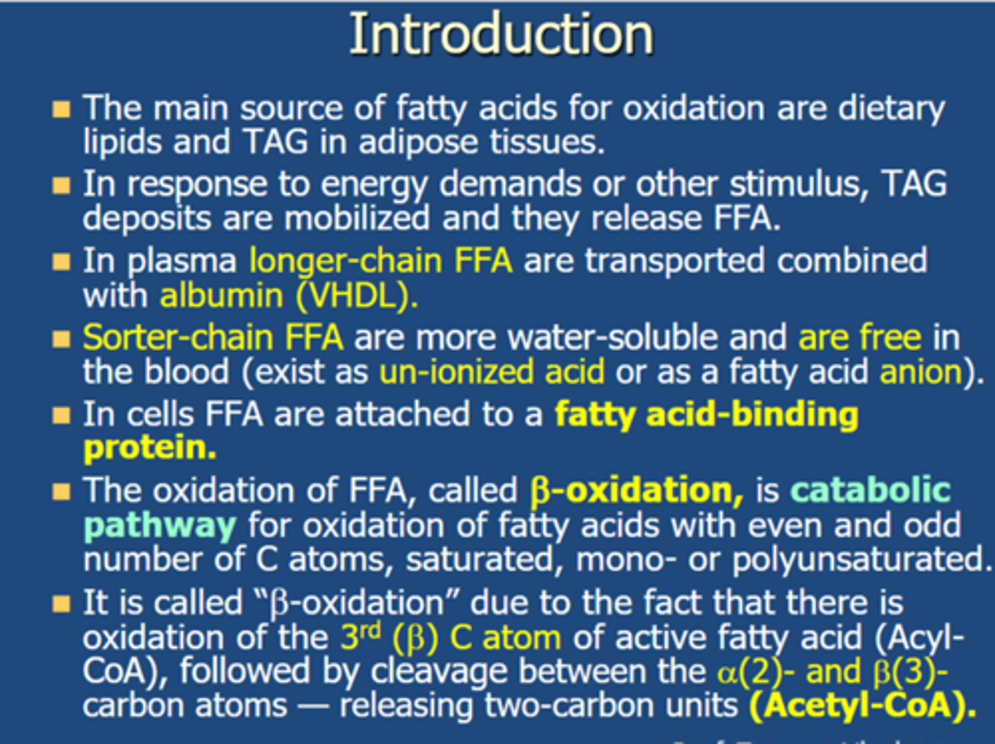 Biochemistry Yr2 Oxidation of Fatty Acids Quizlet Flashcards Knowt