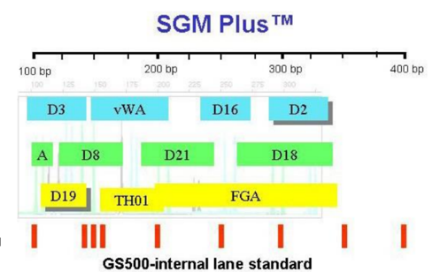<p>SGM plus TM</p>