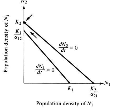 <p>What is the outcome of this phase plot?</p>
