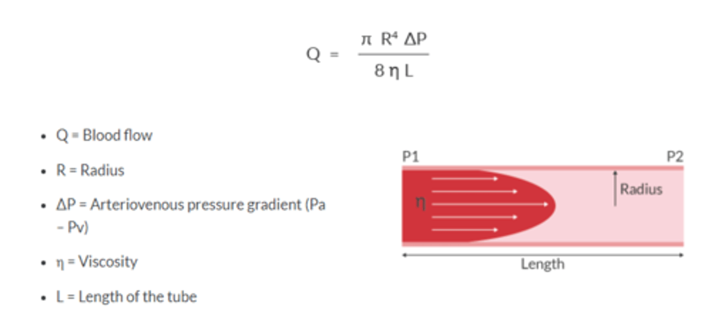 <p>flow rate = ΔP(πr^4 / 8Lη)</p><p>Q = dP/R</p><p>flow rate depends on pressure difference, and radius, length, and viscosity of liquid</p><p>increased resistance can be caused by increased length, increased viscosity, or decreased radius</p>