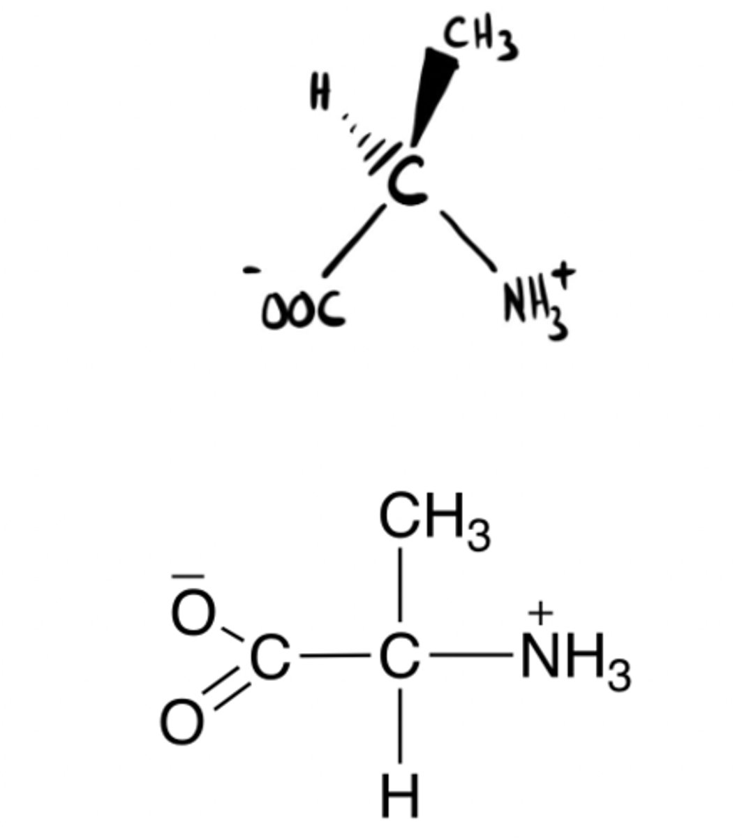 <p>L or D molecule?</p>