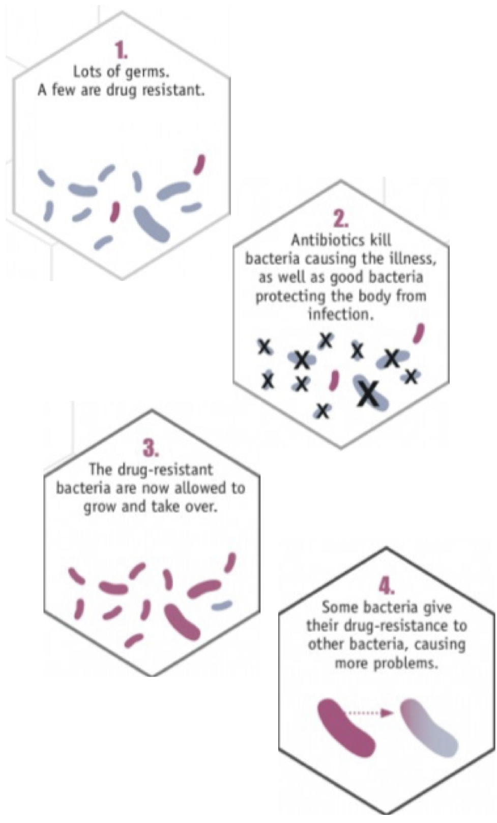 Antibiotic resistance