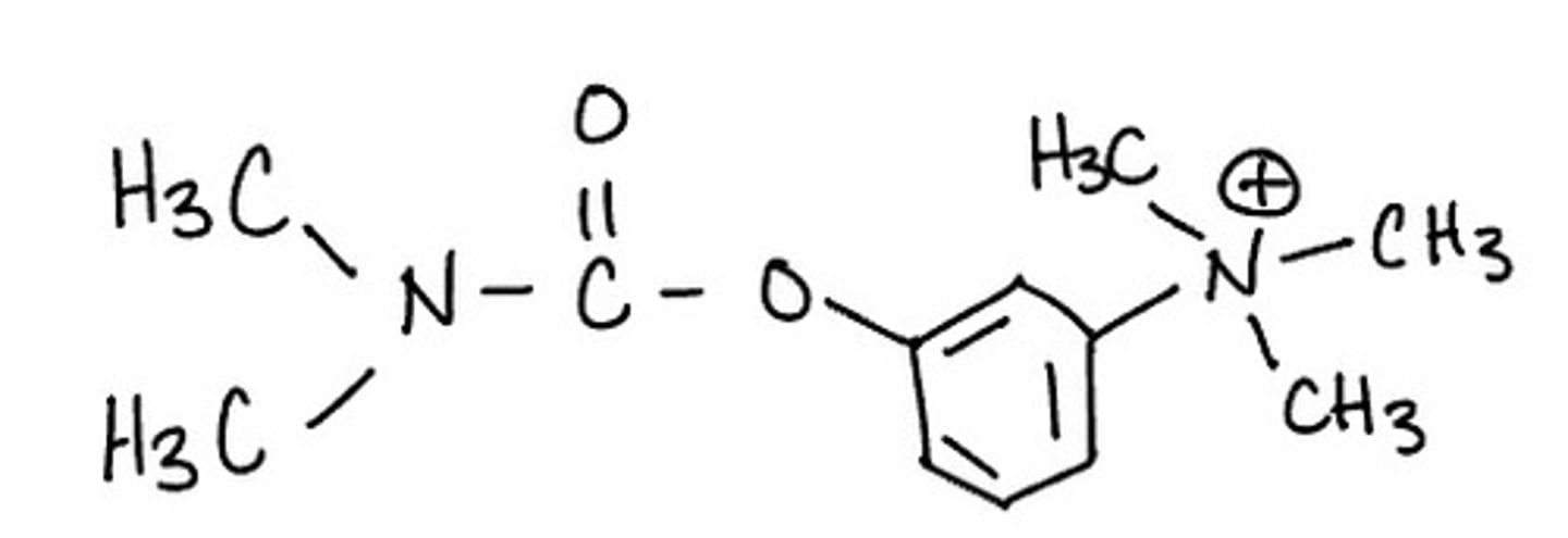 <p>indirect-acting agent</p><p>reversible AChE inhibitor</p>