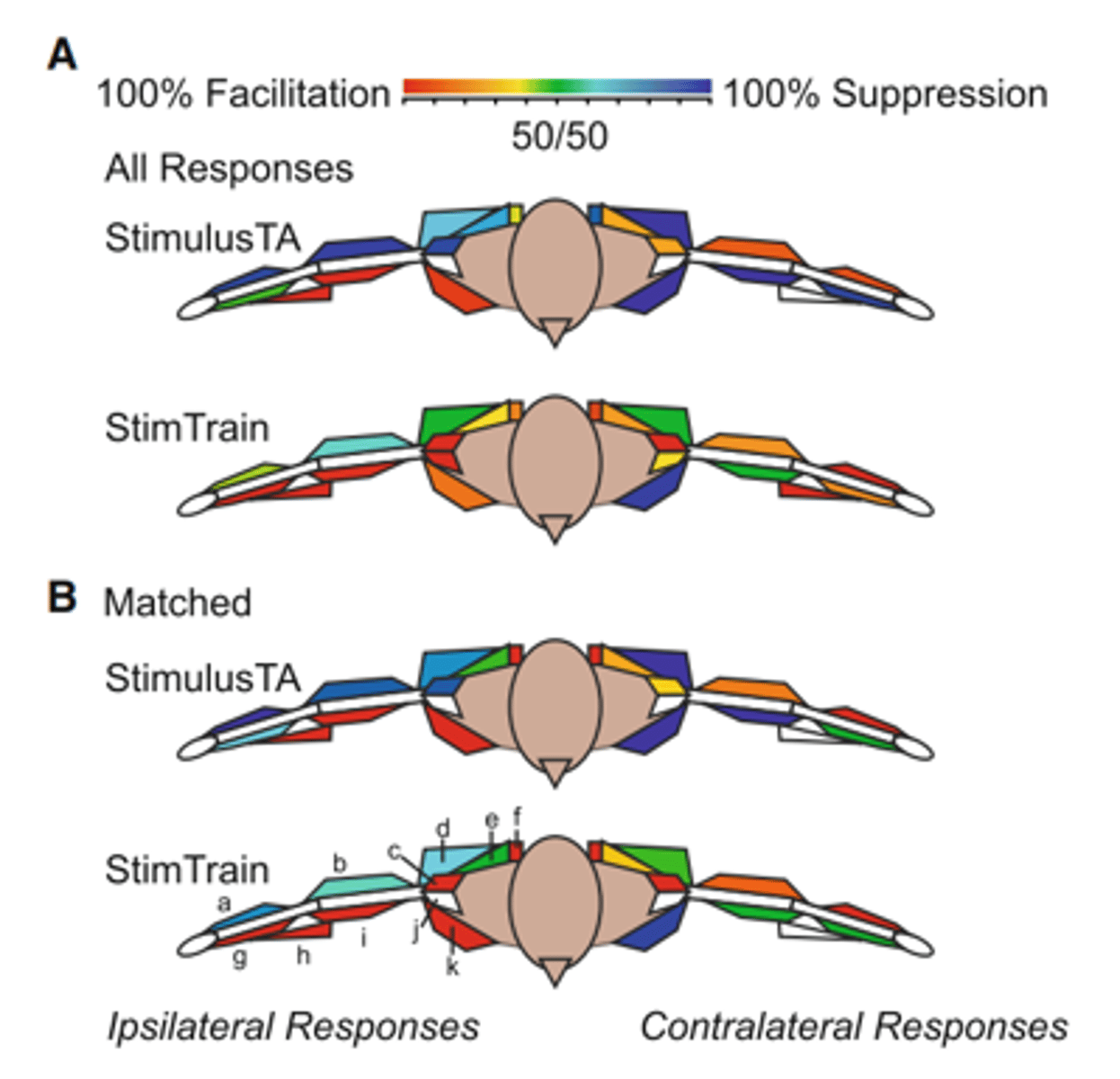 <p>what type of stimulation</p>
