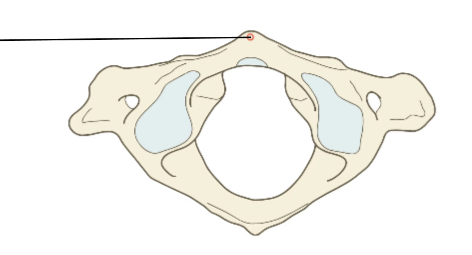 <p>Name this process.</p>
