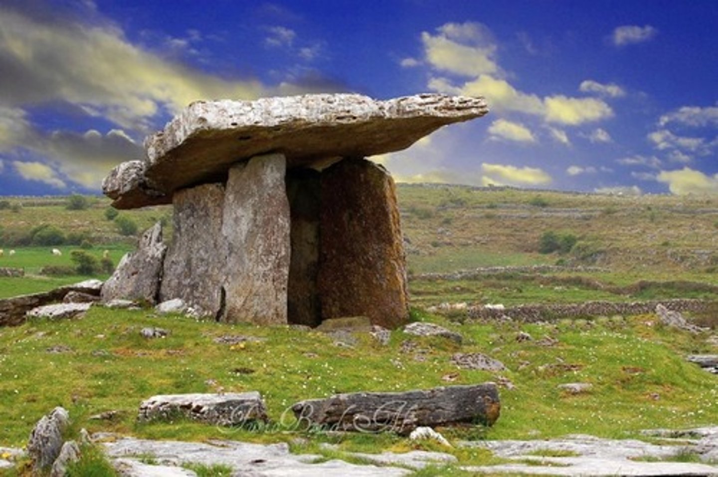 <p>a megalithic tomb with a large flat stone laid on upright ones, found chiefly in Britain and France.</p>