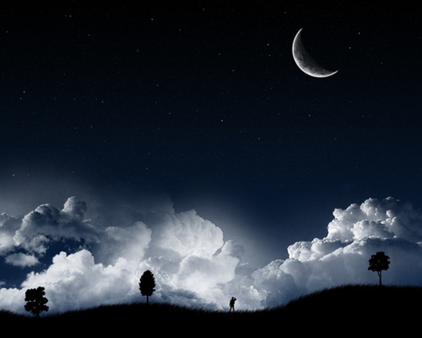 <p>at night</p>
