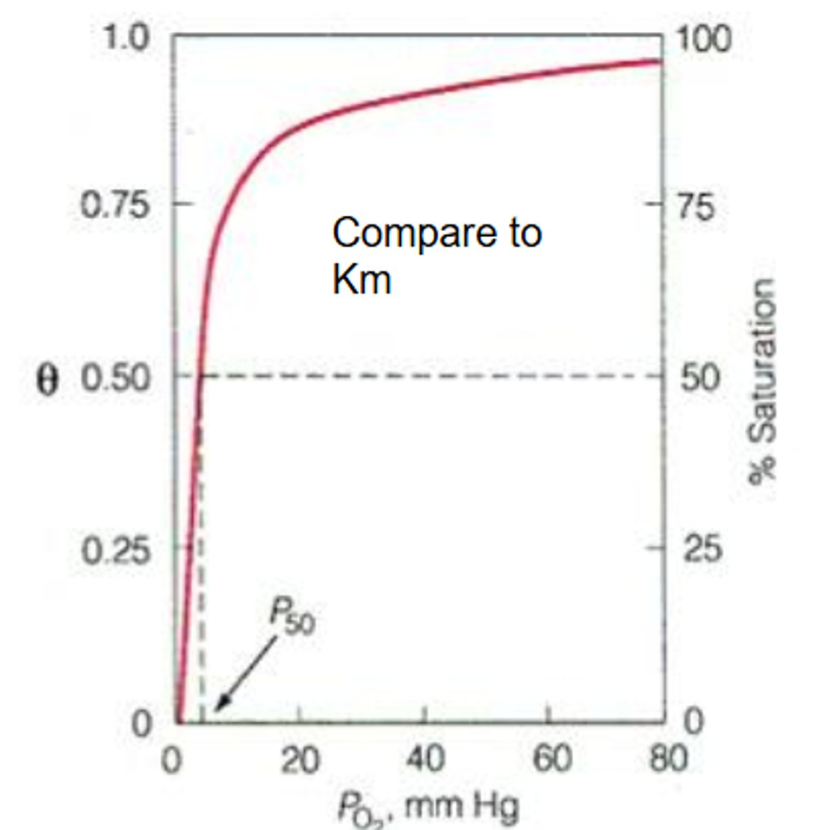 <p>This is the partial pressure of oxygen where half of the binding sites are bound</p>