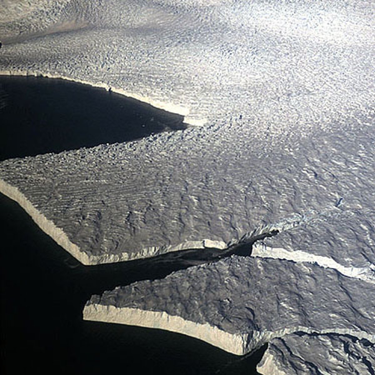 <p>A thick, floating platform of ice that forms where a glacier or ice sheet flows down to a coastline and onto the ocean surface.</p>