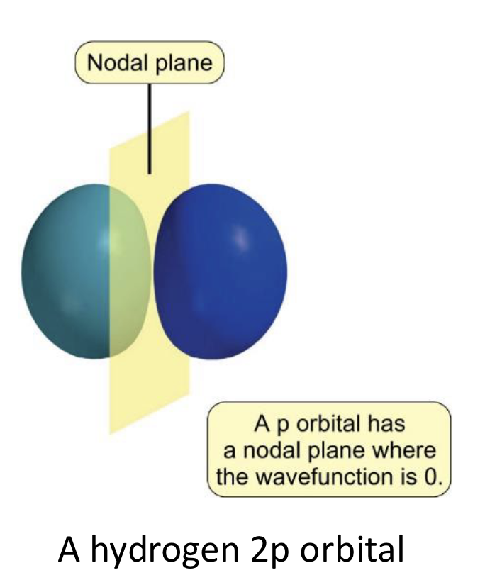 <p>nodal plane</p>