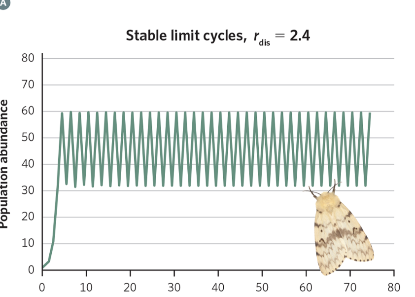 <p>The population keeps oscillating around K in a repeating pattern -- it never settles exactly at K</p>
