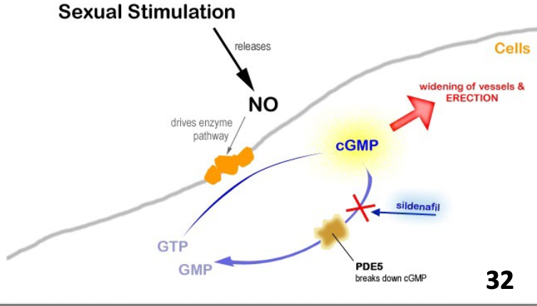 <p>treatment of Erectile Dysfunction</p>