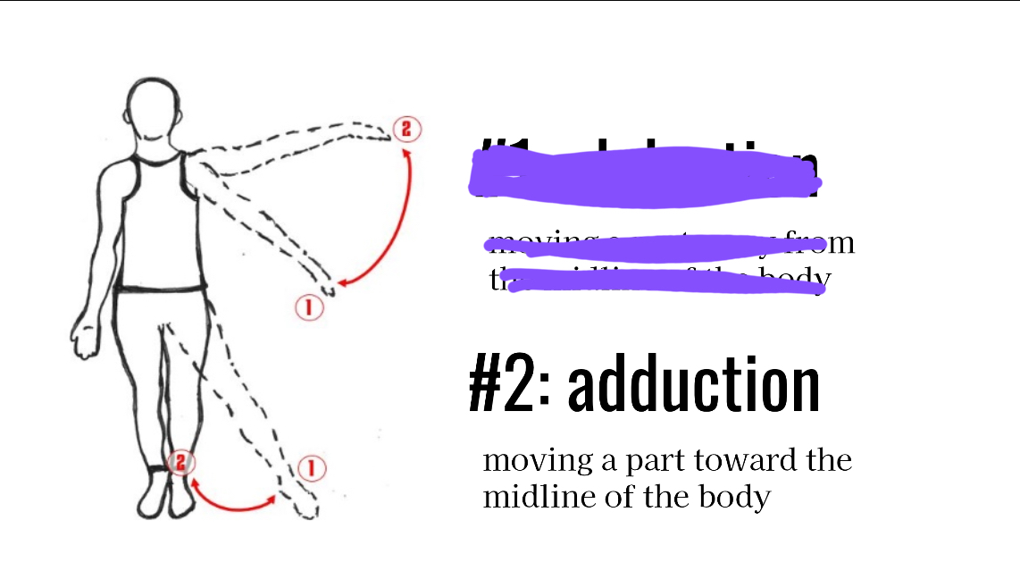 <p>Moving toward the midline</p>