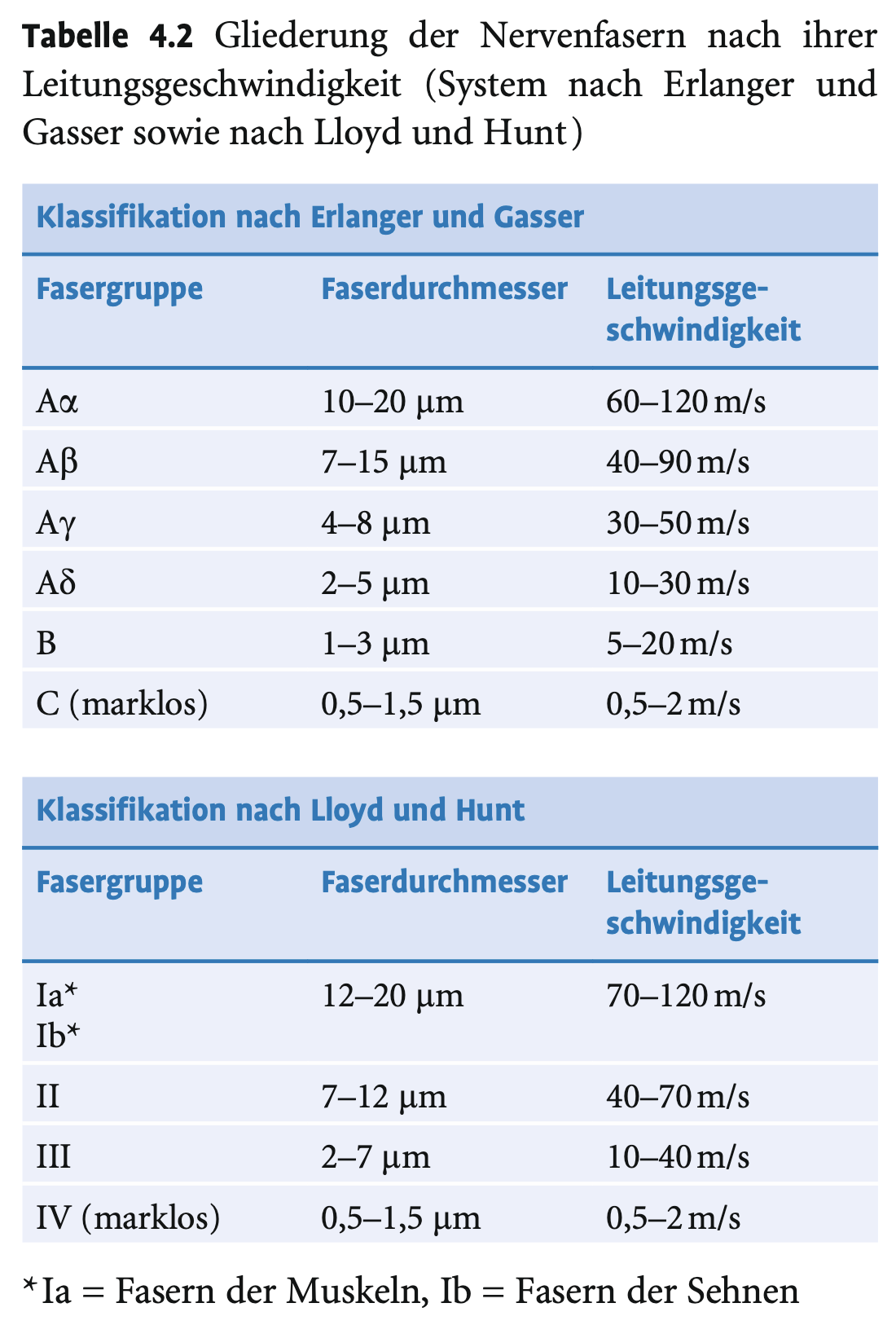 <p>APs springen von einem Ranvier-Schnürring zum nächsten → dazwischen passive Weiterleitung durch myelinisierten Abschnitt.</p>