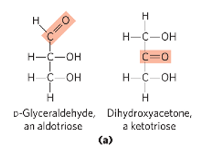 <p>carbonyl group that is at any other position than the end (in a ketone group)</p>