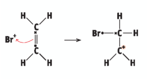 <p>Br+ ion attacks C=C bond for an electron and bonds with one C atom, the other C atom becomes + charged</p>