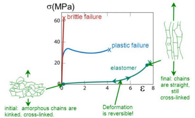<p>-no yielding, deformation largely recoverable</p><p>-stress increases monotonically up to point of failure</p><p>-non-crystalline polymer above Tg has rubber elasticity</p><p>-polymer network, gels have rubber elasticity</p><p>-rubber elasticity unique to polymeric materials</p>