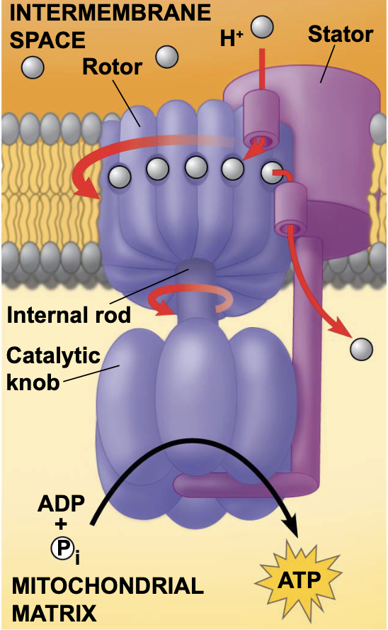 <p>what is this?</p>