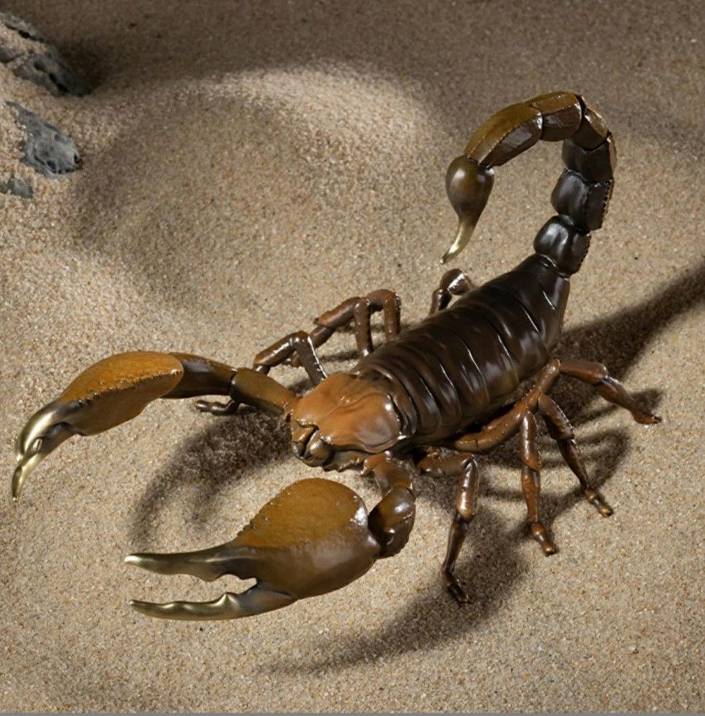 <p>Scorpion</p>