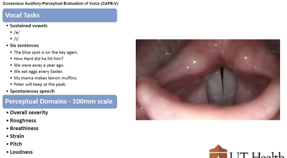 <p>At Minimum: CAPE-V, GRABAS</p><p>Ideal Scenario: stroboscopy (need to look at vibratory characteristics)</p>