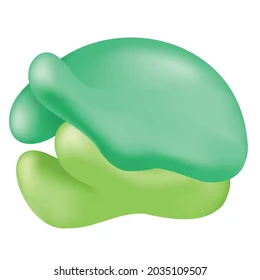 <p>Identify and explain the function of this organelle:</p>
